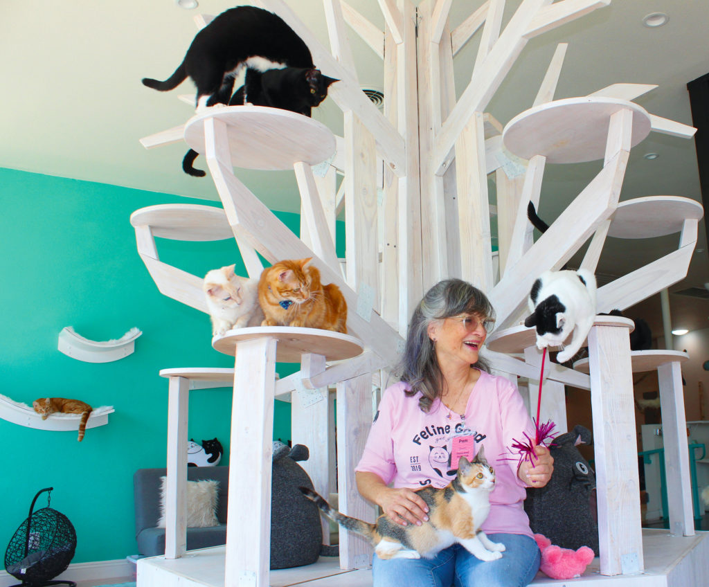 Feline Social Club Co-Owner Pam Leslie