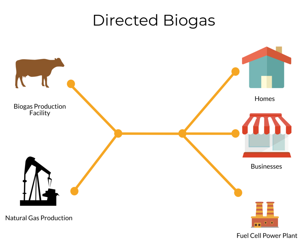 Directed Biogas Infographic