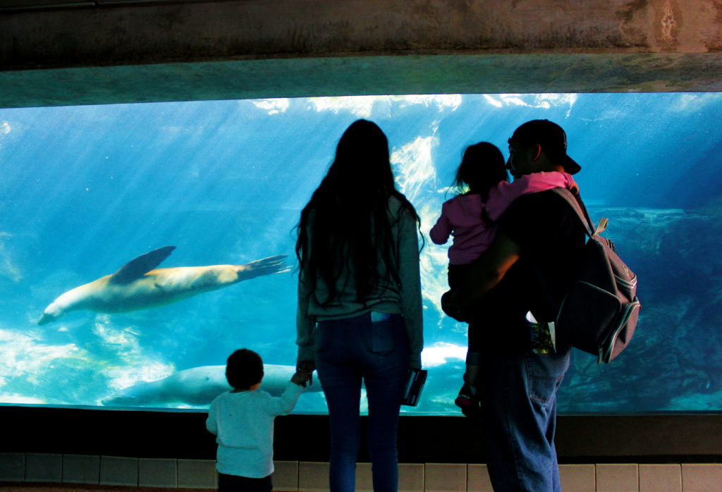 Family at Aquarium of the Pacific